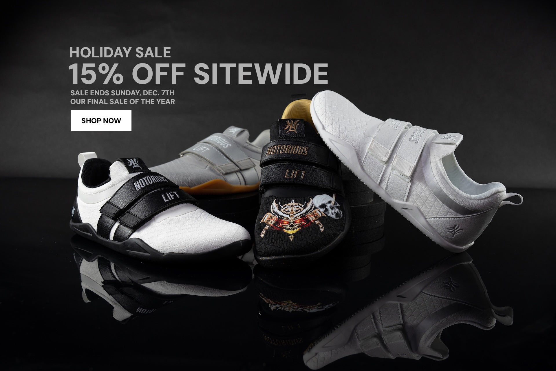 DESKTOP-HOLIDAYSALE2.jpg?v=