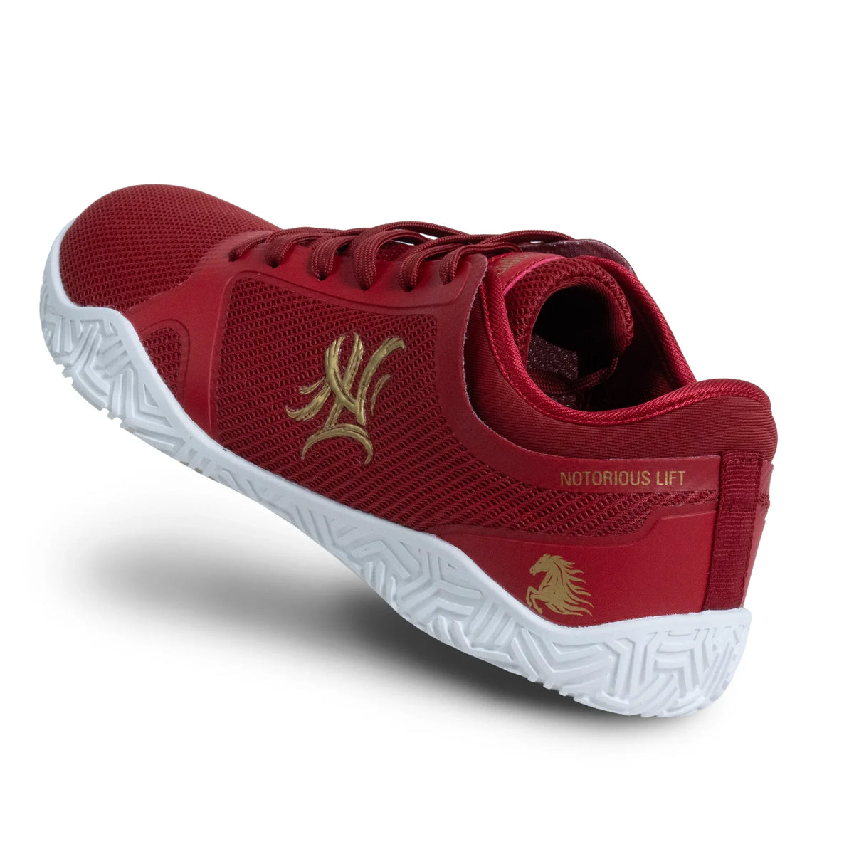 Radix Pro | Precision Minimalist Training Shoe Collection | Notorious Lift