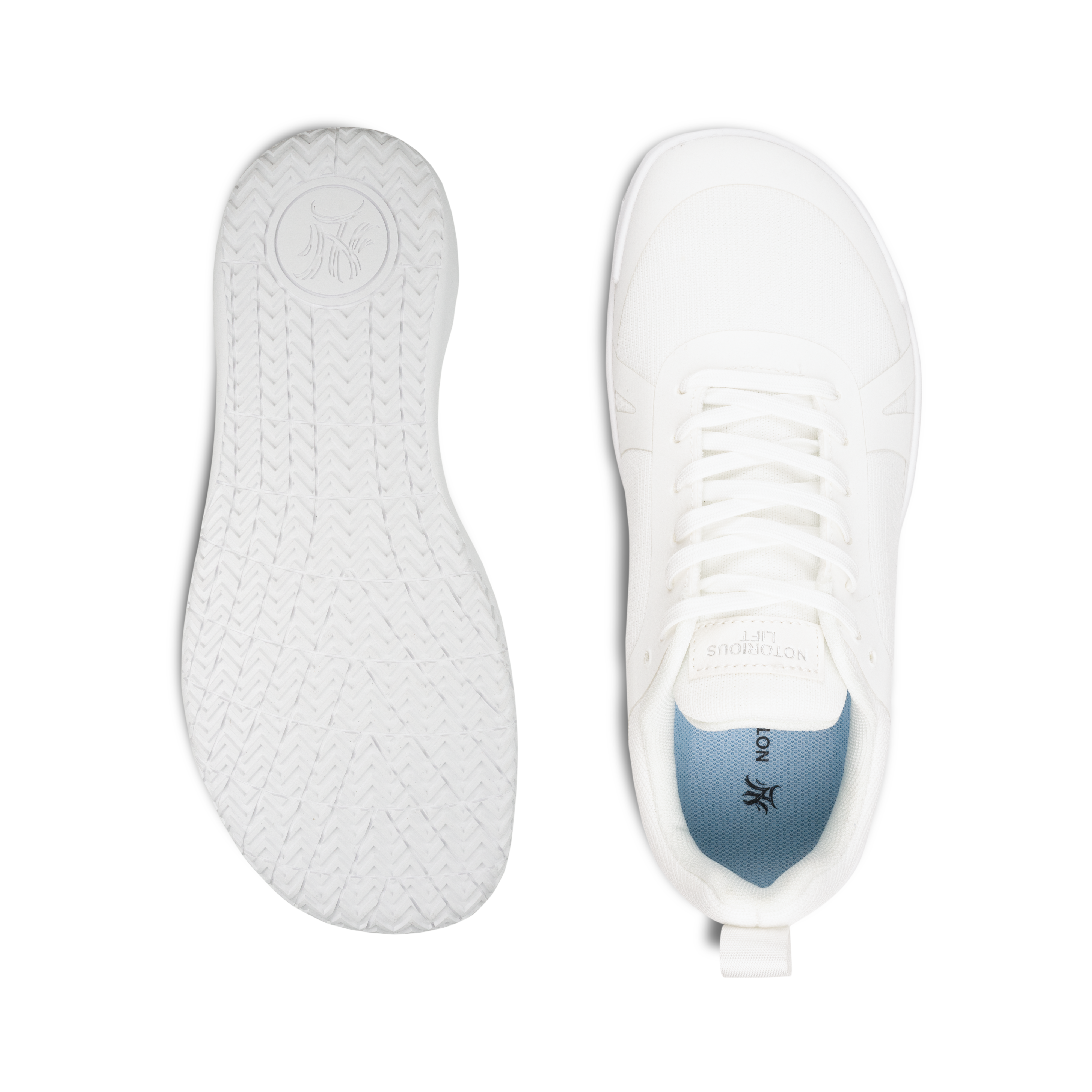 Radix – Notorious Lift Radix – Notorious Lift