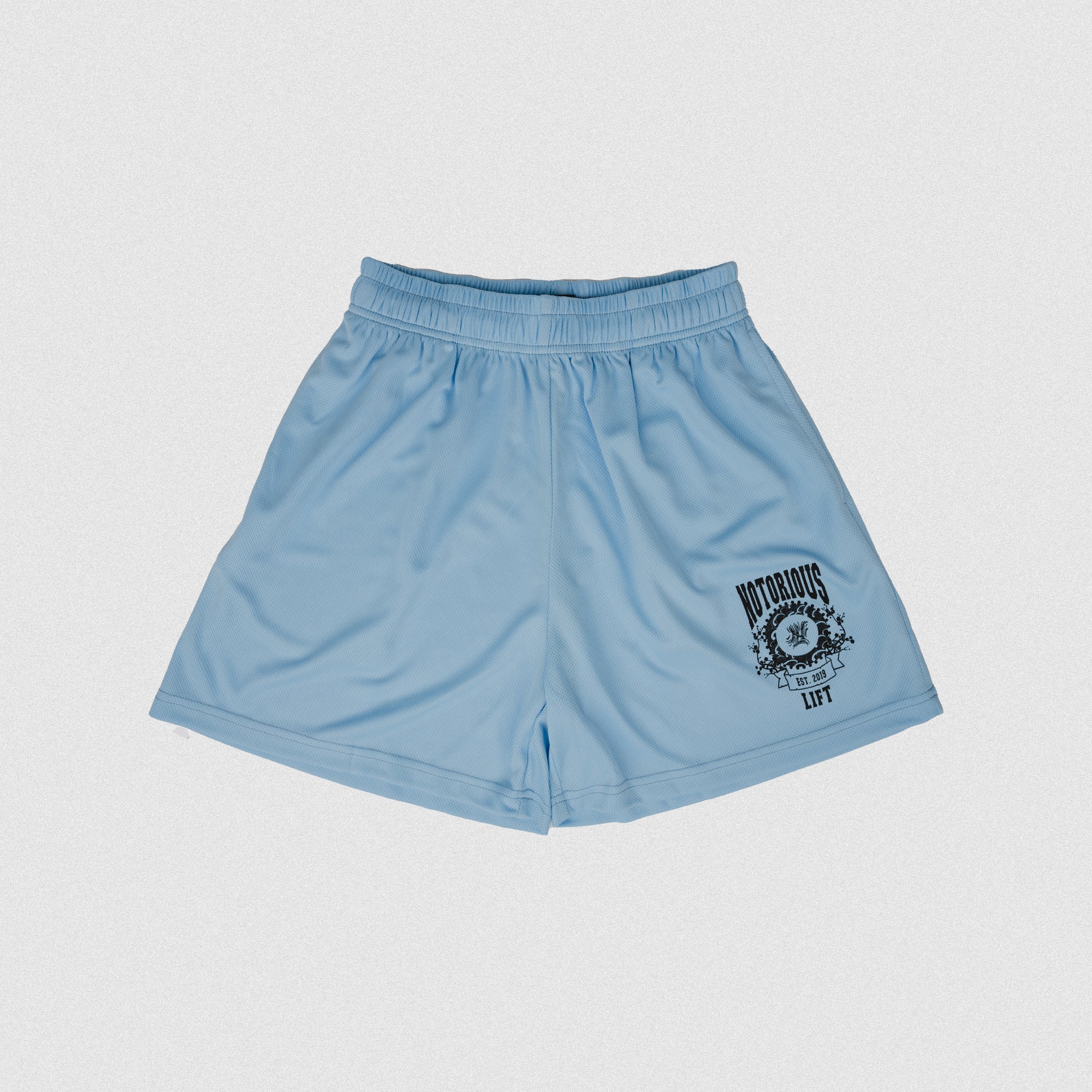 LIMITED EDITION VARSITY MESH SHORTS COOL BLUE – Notorious Lift