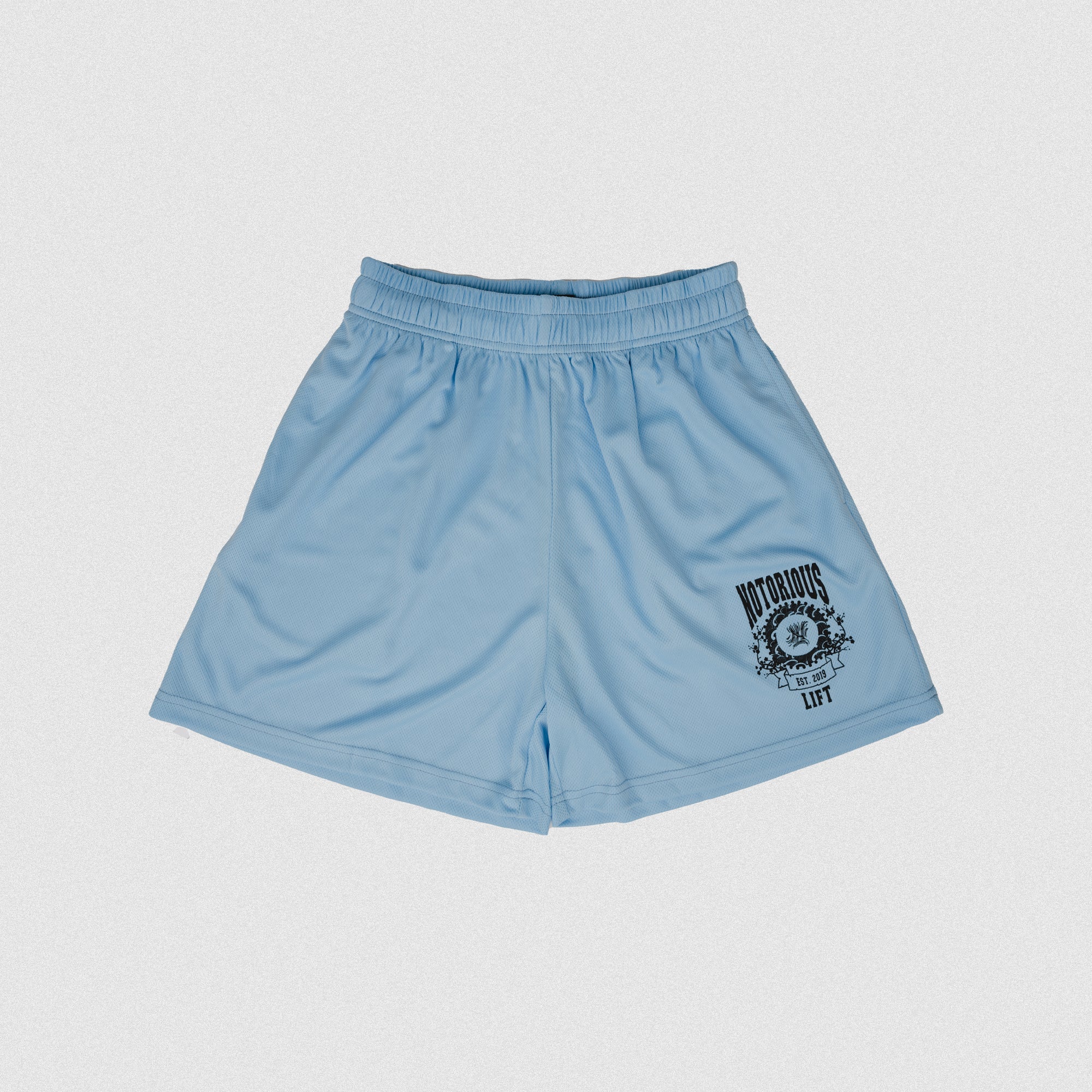 Blue Mesh Shorts - Cider